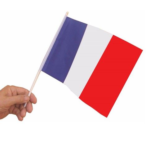 10 Drapeaux France Polyester Avec Hampe 20x30cm