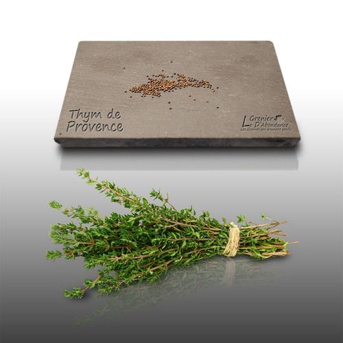 100 Graines Aromatiques  Semer - Le Grenier D'abondance - Thym De Provence - Thymus Vulgarus