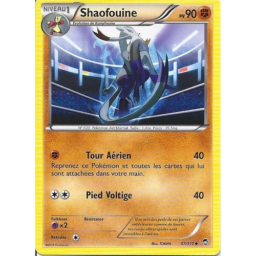 Shaofouine 57/111 - Xy Poings Furieux