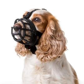 Housse de protection solide pour cage pour chien d'intérieur, cage pour  chien multifonctionnelle à l'épreuve de la lumière, matériau en tissu  Oxford 420D (pas de cage pour chien) (125 × 77 ×