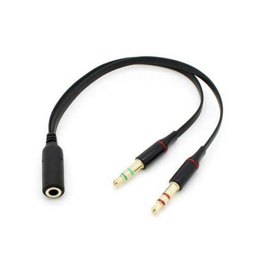 Câble audio Delock (jack 3,5 mm - 20 cm - noir) goodnice