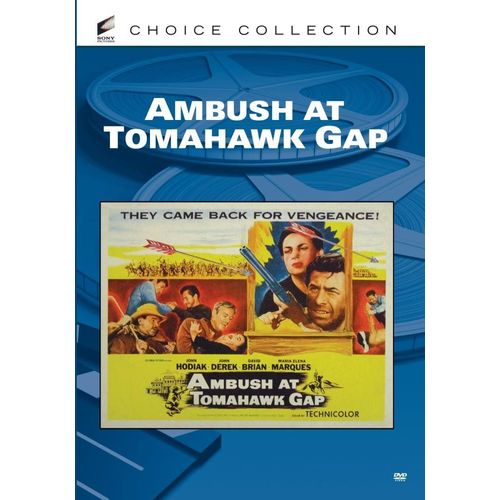 Ambush At Tomahawk Gap