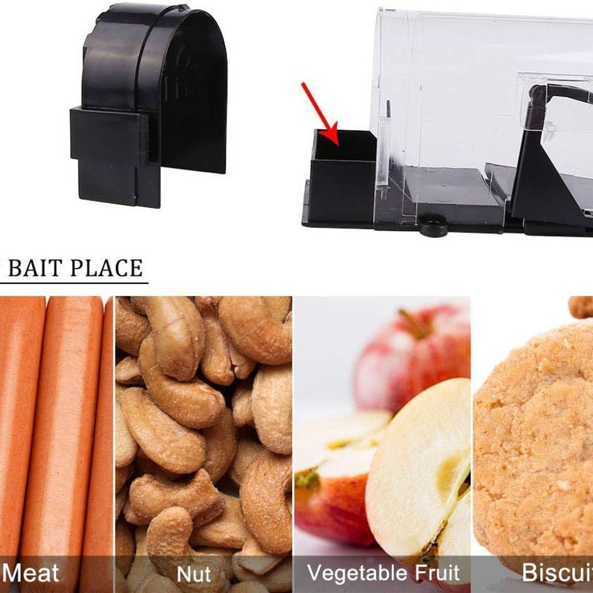 Pige  souris vivant, piges vivants, piges  rats rutili... - 3