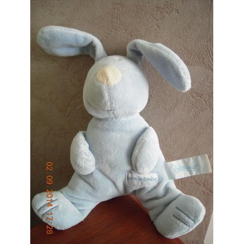 Lapin Bleu Musical Premaman