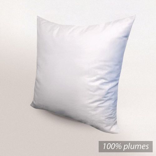 Oreiller 80x80 Cm Grizz'lit Plumes 100% Plumes De Canard