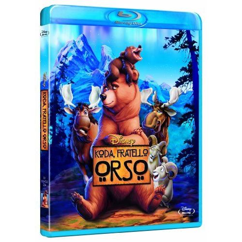 Koda Fratello Orso