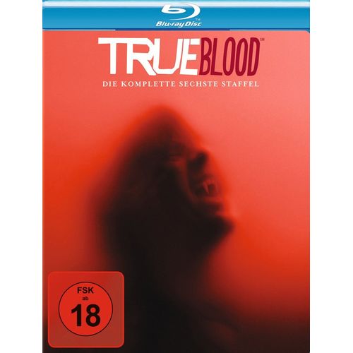 True Blood - Die Komplette Sechste Staffel (4 Discs)