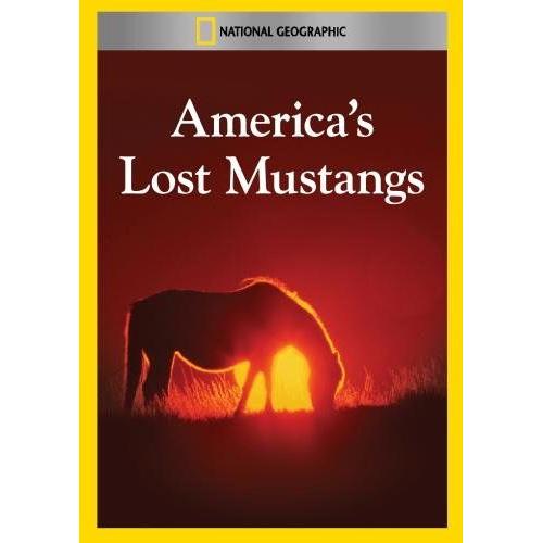 America S Lost Mustangs