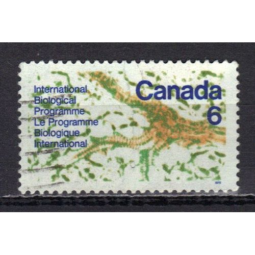 Canada 1970 : Programme Biologique International : Vue Microscopique D'une Feuille - Timbre 6 C. Oblitéré