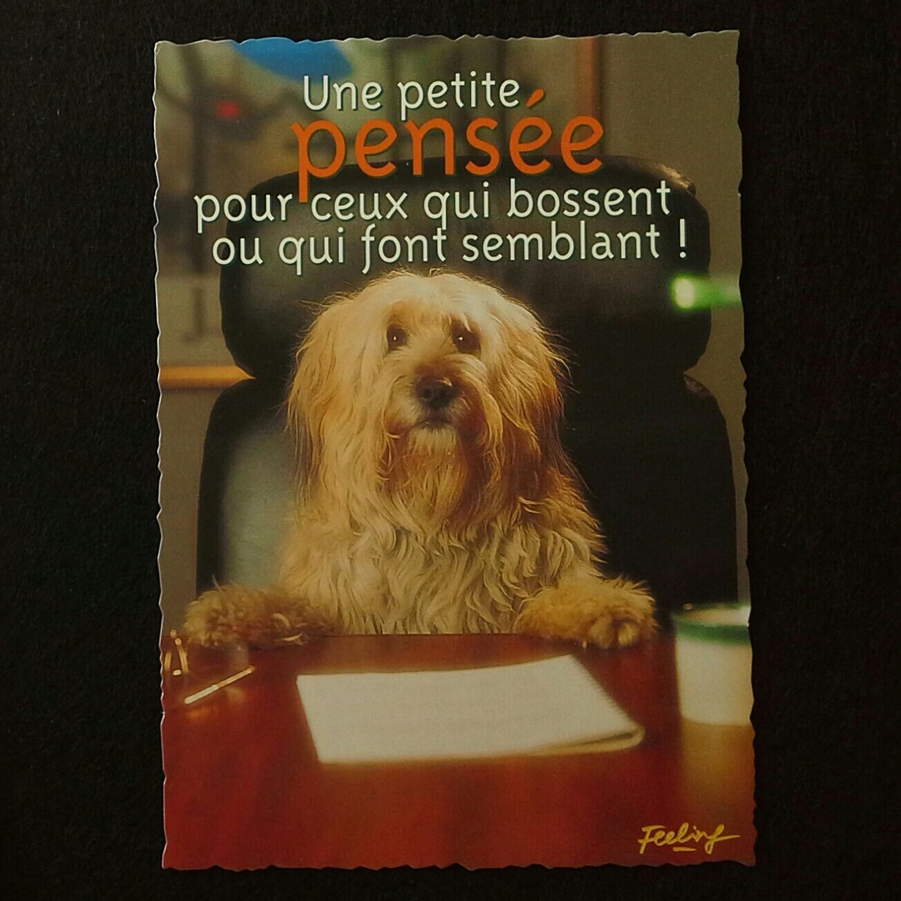 Carte Postale Chien Une Petite Pensee Pour Ceux Qui Bossent Ou Qui Font Semblant Vacances Travail Humour Amitie Feeling Rakuten