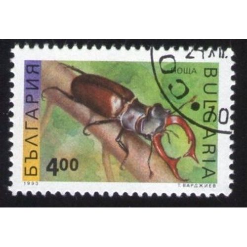 Bulgarie 1993 Oblitéré Rond Used Stamp Coléoptère Insectes Stag Beetle Lucanidae