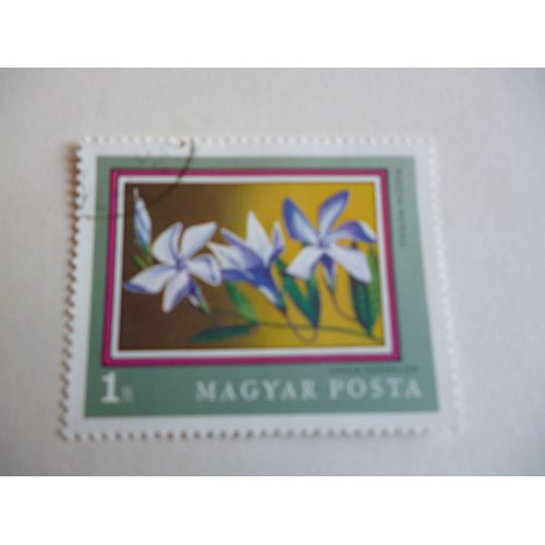 Timbre "Magyar Posta :Vinca Herbacea (Pervenche)".