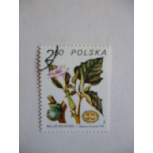 Timbre "Pologne 1980 :Datura Innoxia".