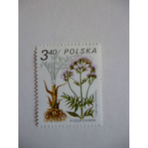 Timbre " Pologne 1980 :Valeriane Officinale".