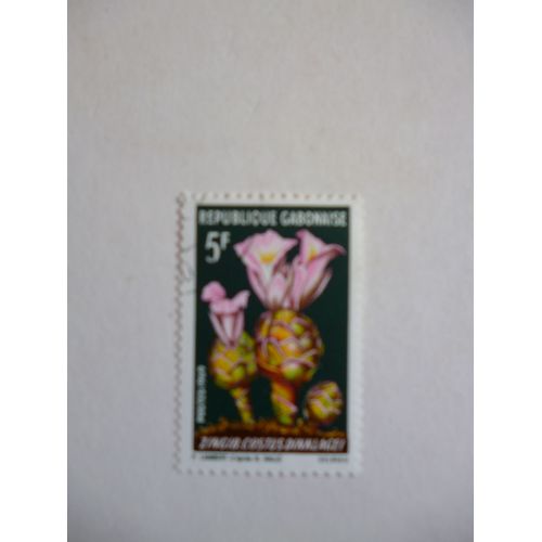 Timbre "Gabon 1969 :Costus Dinklagei".