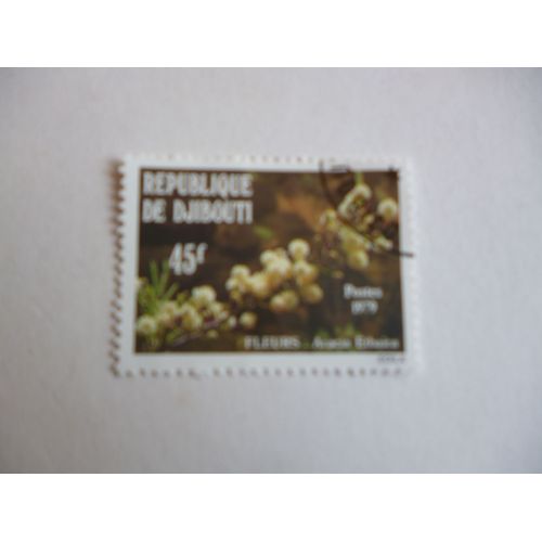 Timbre "Djibouti 1979 :Acacia Etbaica".