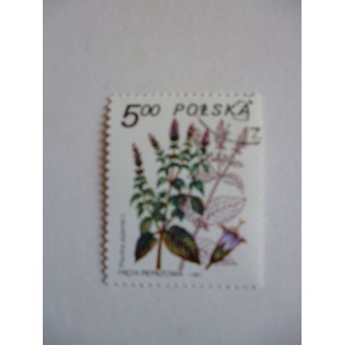 Timbre "Pologne 1980 :Menthe Poivrée".