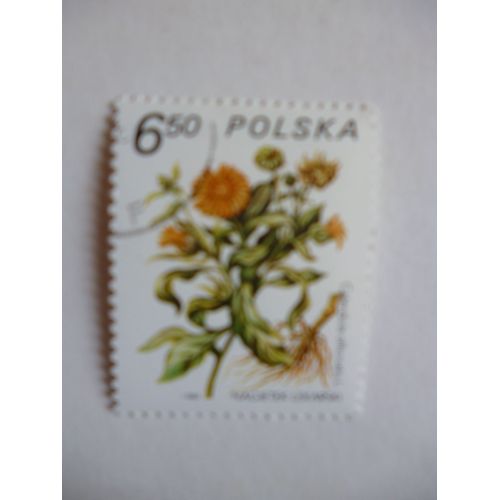 Timbre "Pologne 1980 :Calendula Officinalis".