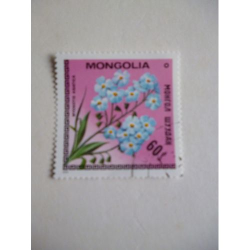 Timbre "Mongolie :Myosotis Asiatique".