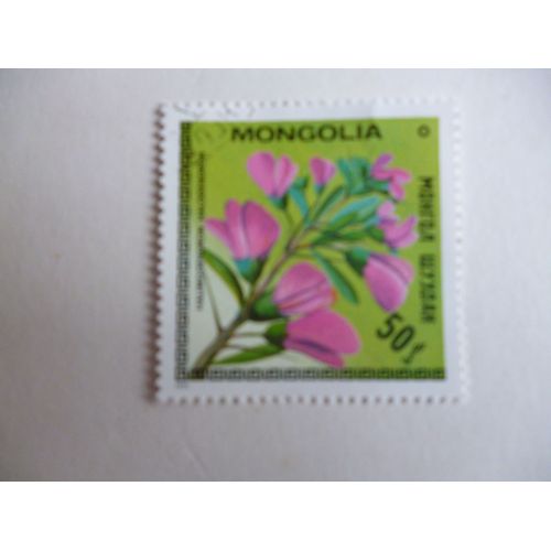 Timbre "Mongolie :Halimodendron Halodendron".