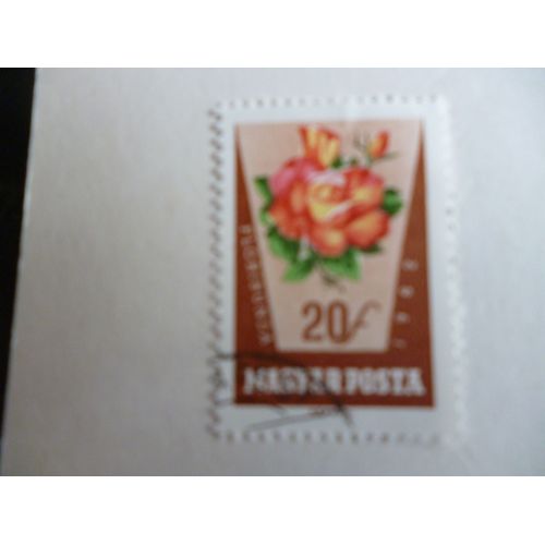 Timbre "Magyar Posta 1982 :Rosa Floribunda".
