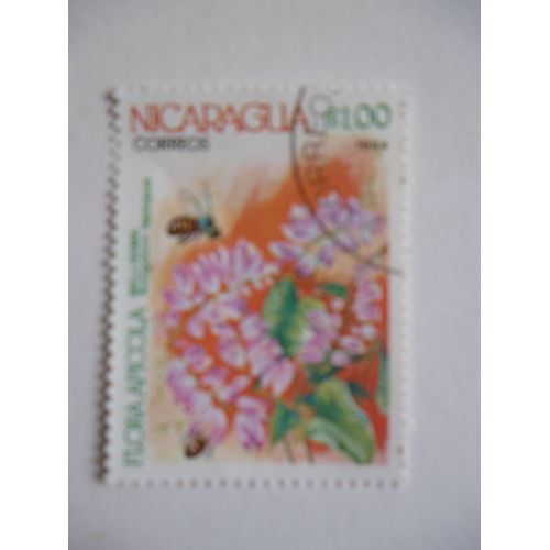Timbre "Nicaragua :1984:Flore Apicole: Bellissima".
