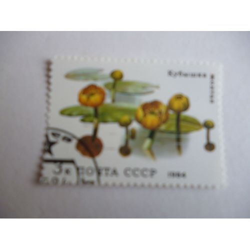 Timbre "Urss 1984 :Renoncule D'eau".