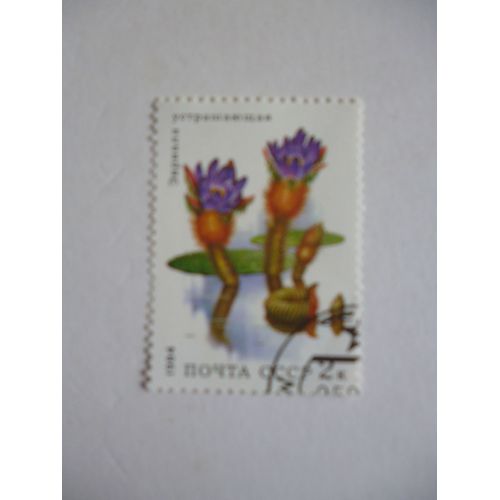 Timbre "Urss 1984 :Plante Aquatique".