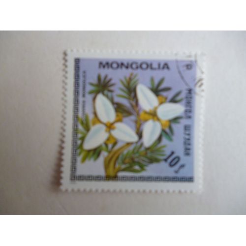 Timbre "Mongolie :Potoninia Mongolica".