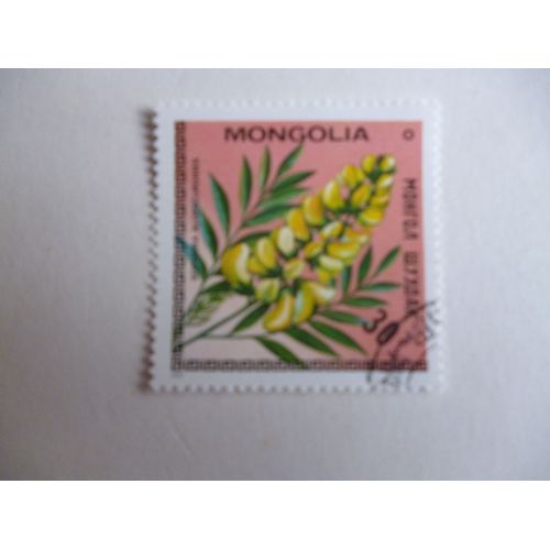 Timbre "Mongolie :Sophora Alopecuroïdes".