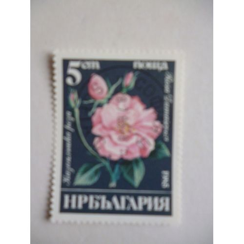 Timbre "Bulgarie 1985 : Rosa Damascena".
