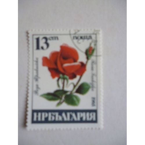 Timbre "Bulgarie 1985 : Rosa Frakÿka".