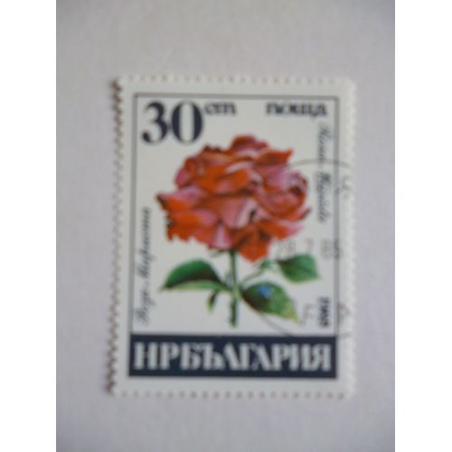 Timbre "Bulgarie 1985 : Rosa Marista".