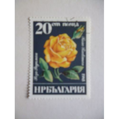 Timbre "Bulgarie 1985 : Rosa Radiman".