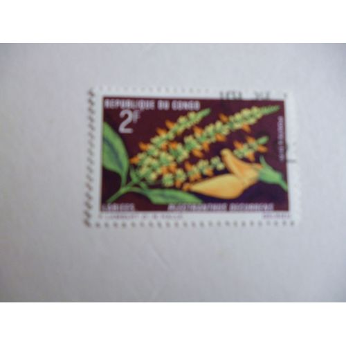 Timbre " Congo :Plectranthus Decurrens".