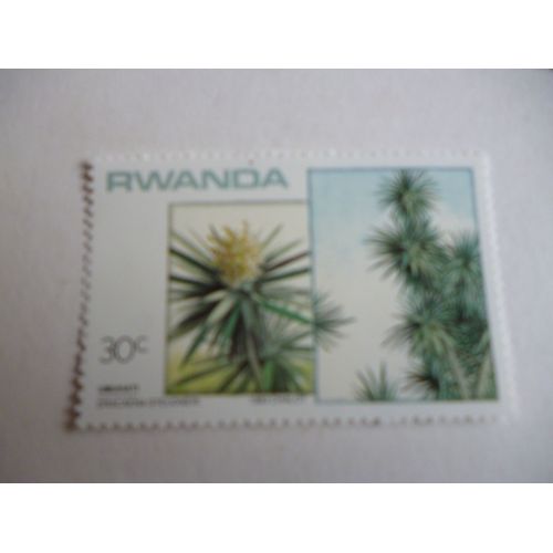 Timbre "Rwanda 1983 :Dracaena Stendueri".