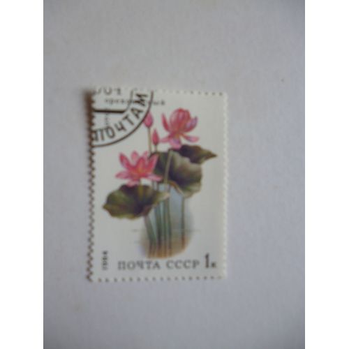 Timbre "Urss :1984 : Lotus".