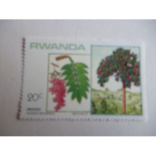 Timbre "Rwanda 1983 :Hagénia Abyssinica".