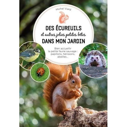 Des Écureuils Et Autres Jolies Petites Bêtes Dans Mon Jardin - Bien Acceuillir La Petite Faune Sauvage : Papillons, Hérissons, Abeilles