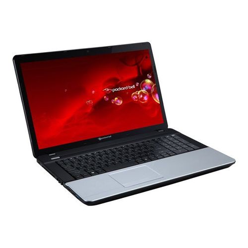 Packard Bell Easy Note LE69KB-23806G1TMnsk - E2 3800 / 1.3 GHz - Win 8.1 64-bit - 6 Go RAM - 1 To HDD - DVD SuperMulti - 17.3" 1600 x 900 (HD+) - Radeon HD 8280 - noir, argent