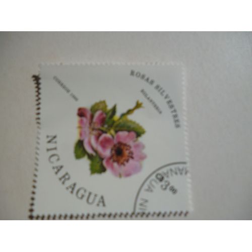 Timbre "Nicaragua 1986 : Rose Eglanteria".