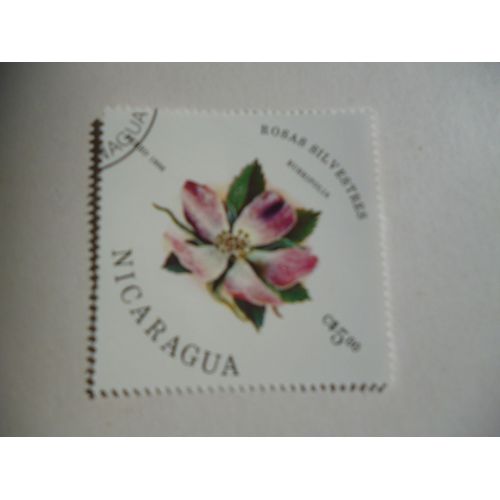 Timbre "Nicaragua 1986 : Rose Rubrifolia".
