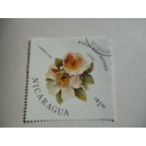 Timbre "Nicaragua 1986 : Rose  Canina".