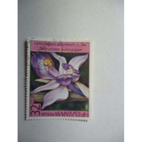 Timbre "Bulgarie 1986 : Limodonum Abortivum".