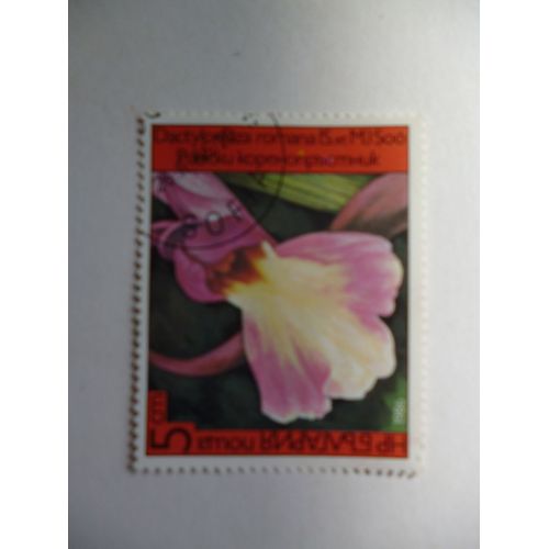 Timbre "Bulgarie 1986 : Dactylomiza Romana".