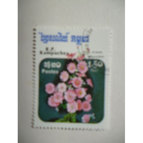 Timbre "Cambodge 1985 :Primula Malacoïdes".
