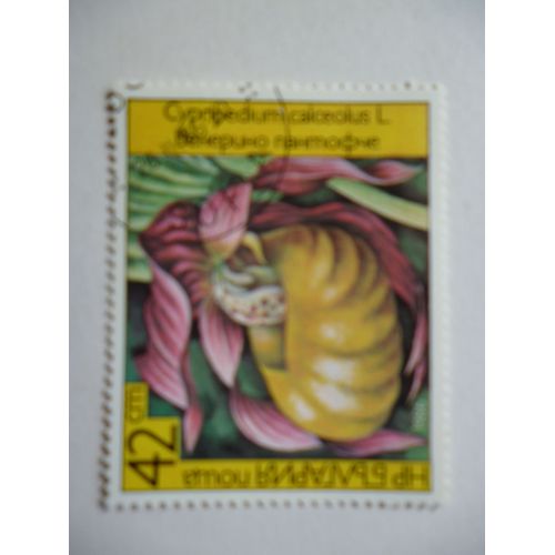 Timbre "Bulgarie 1986 :Cypripedium Calceolus".