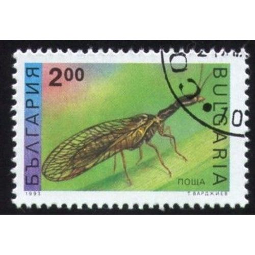 Bulgarie 1993 Oblitéré Rond Used Stamp Insecte