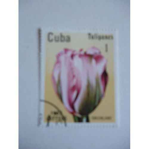 Timbre ""Cuba 1982 :Tulipe Greenland".