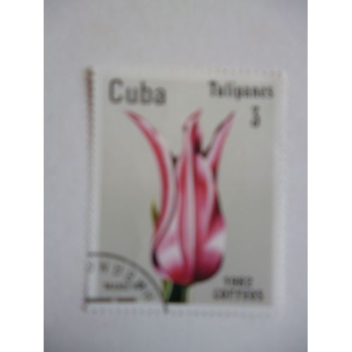 Timbre "Cuba 1982 :Tulipe Mariette".